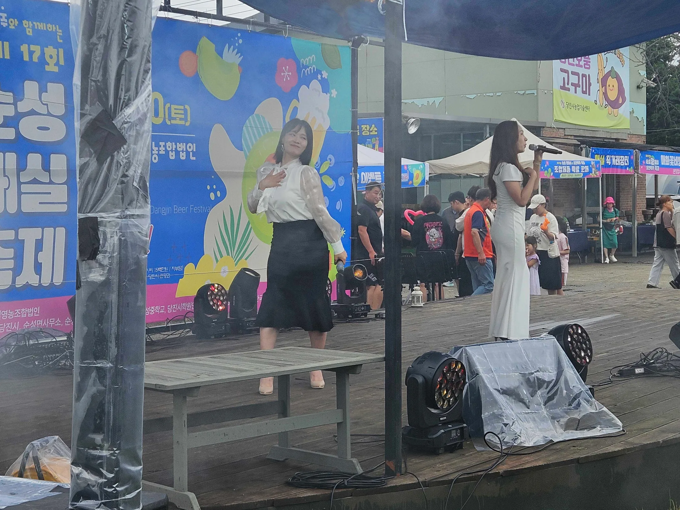 순성왕매실축제 / Sunseong Royal Plum Festival 현장 사진 6