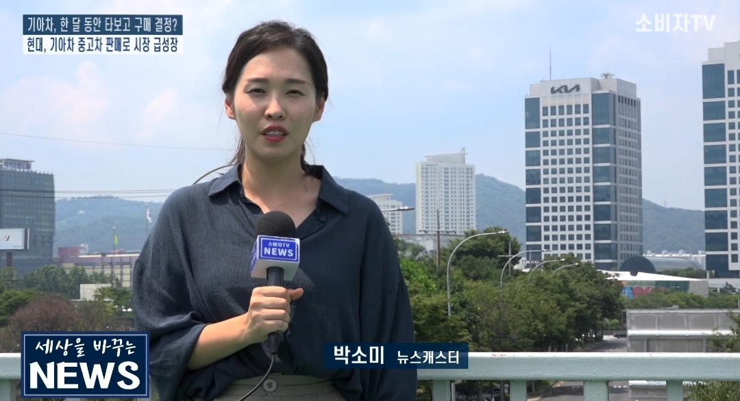 솜소미 추가 사진